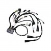 Conjunto de mazo de cables externo