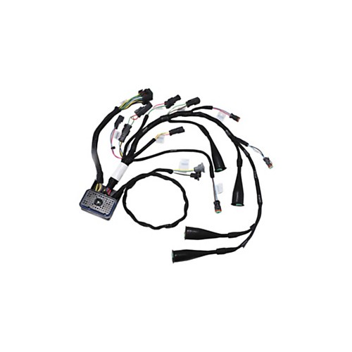 Conjunto de mazo de cables externo