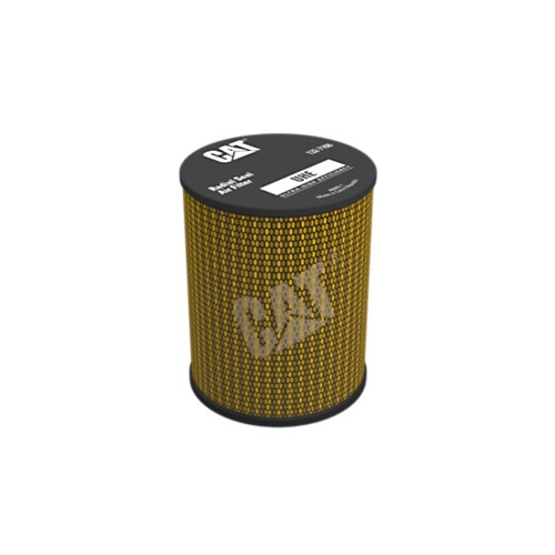 Filtro de aire del motor