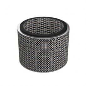 Filtro de aire del motor