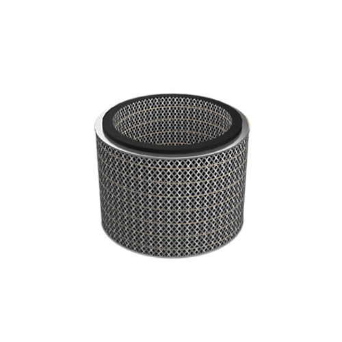 Filtro de aire del motor