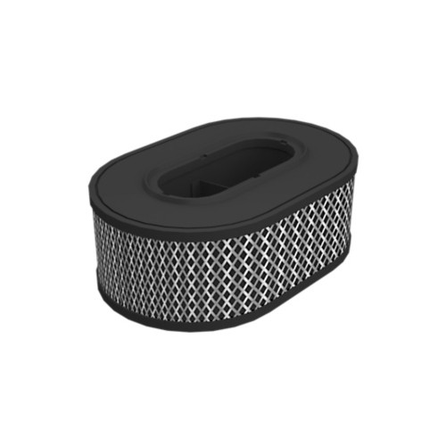 Filtro de aire del motor