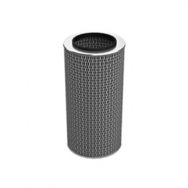 Filtro de aire del motor