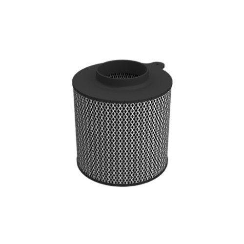 Filtro de aire del motor