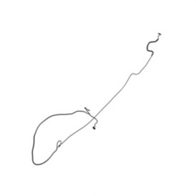 CONJUNTO DE MAZO DE CABLES