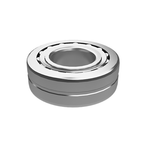 Cojinete rodillos esféricos