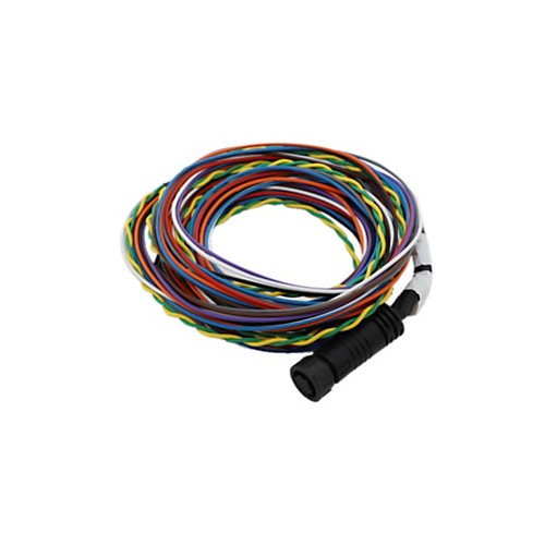 Conjunto de mazo de cables