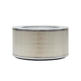 Filtro de aire del motor