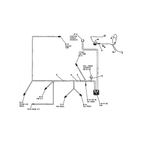 Conjunto de mazo de cables