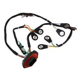 Conjunto de mazo de cables