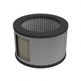 Filtro de aire del motor