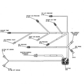 Conjunto de mazo de cables