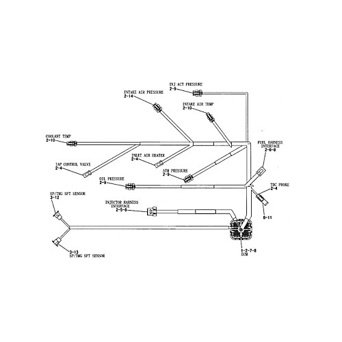 Conjunto de mazo de cables