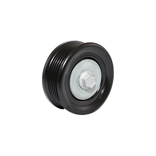 Conjunto de polea loca