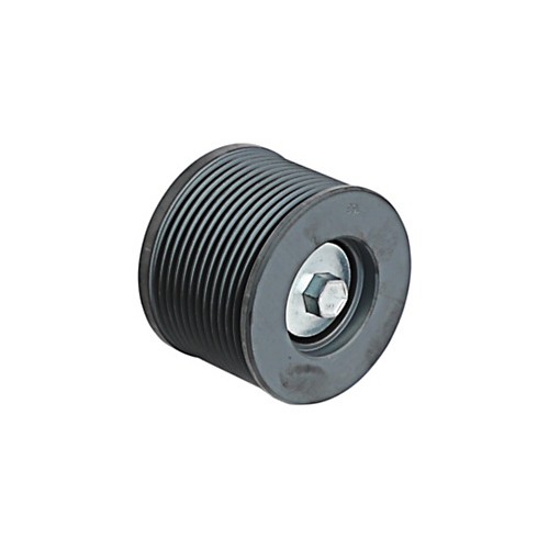 Conjunto de polea loca